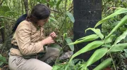 Estudiante de Biología haciendo investigación en Perú