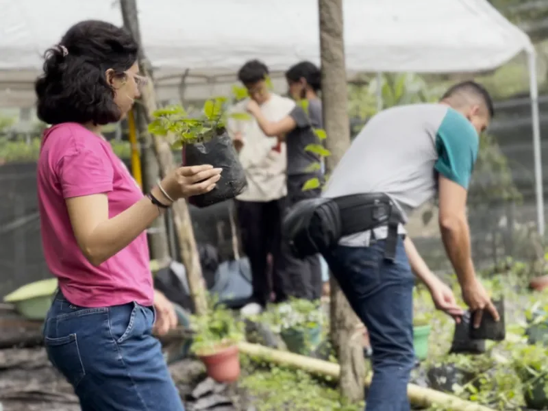 Voluntariado