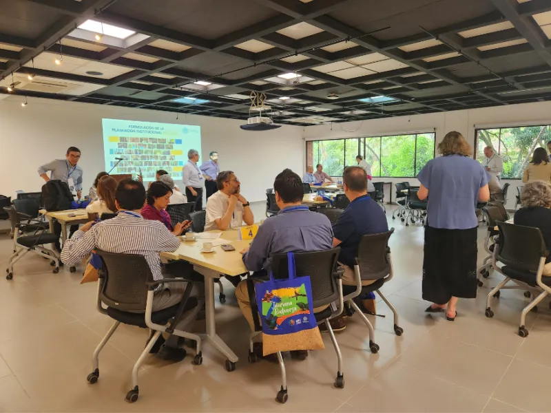 Planeación conjunta